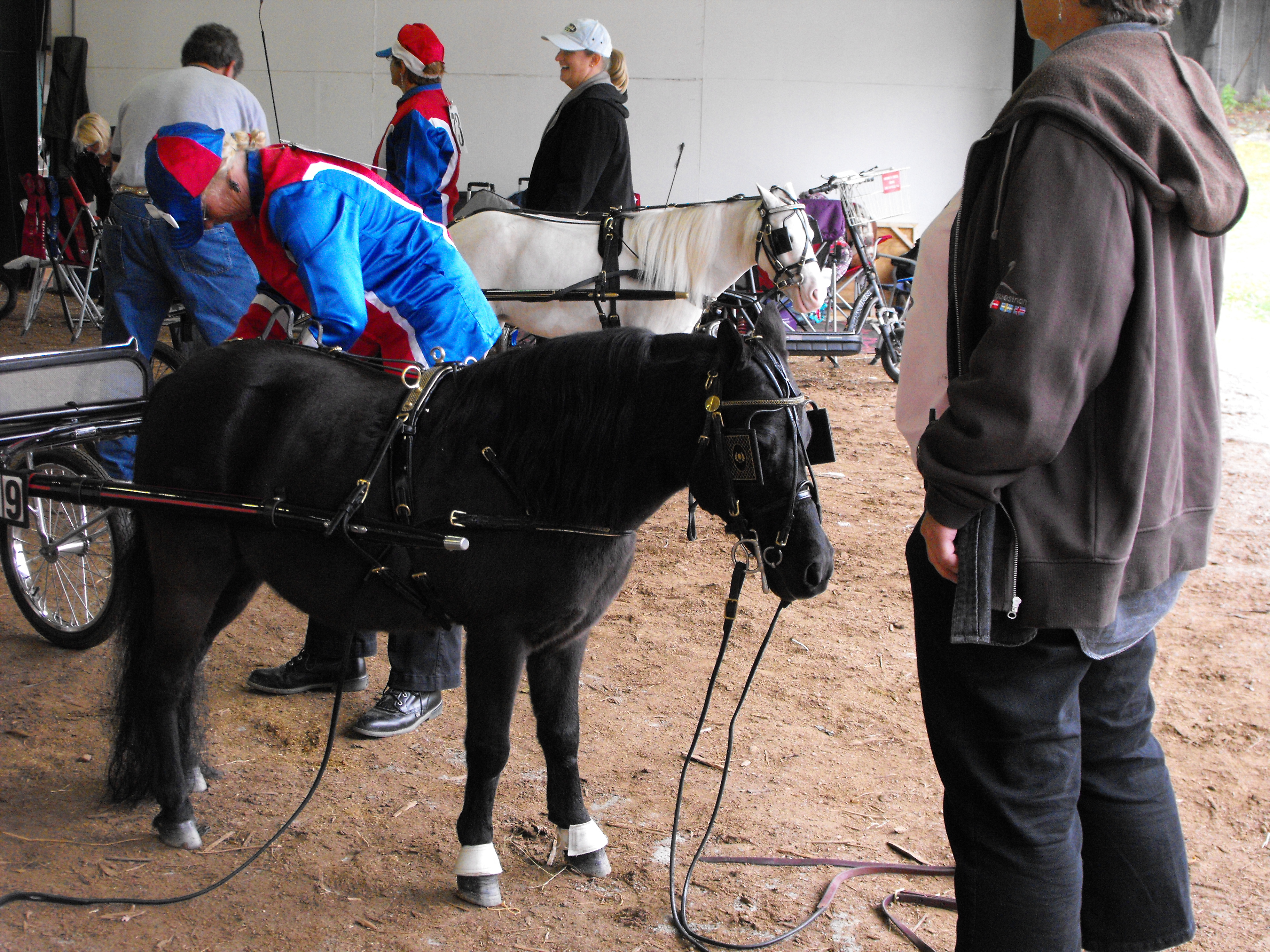 ./2011/State Fair/State Fair 1019 0016.JPG